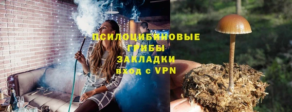 ГАЛЛЮЦИНОГЕННЫЕ ГРИБЫ Куйбышев