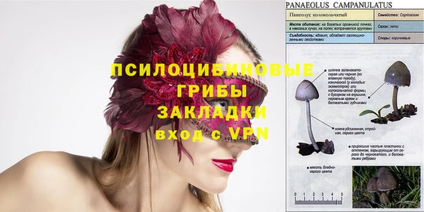 стафф Яранск