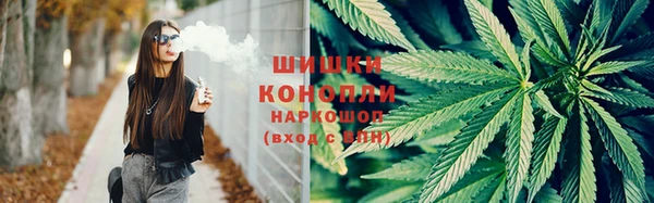 ГАЛЛЮЦИНОГЕННЫЕ ГРИБЫ Куйбышев