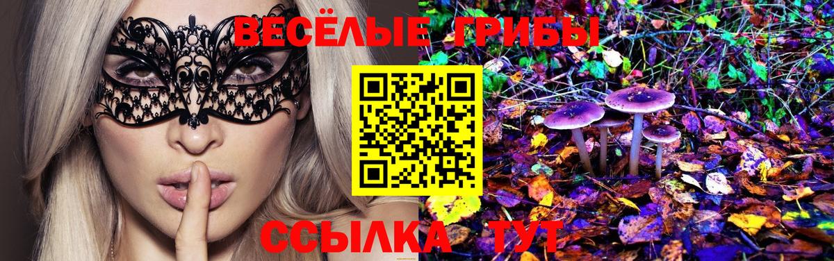 Галлюциногенные грибы мицелий Тула